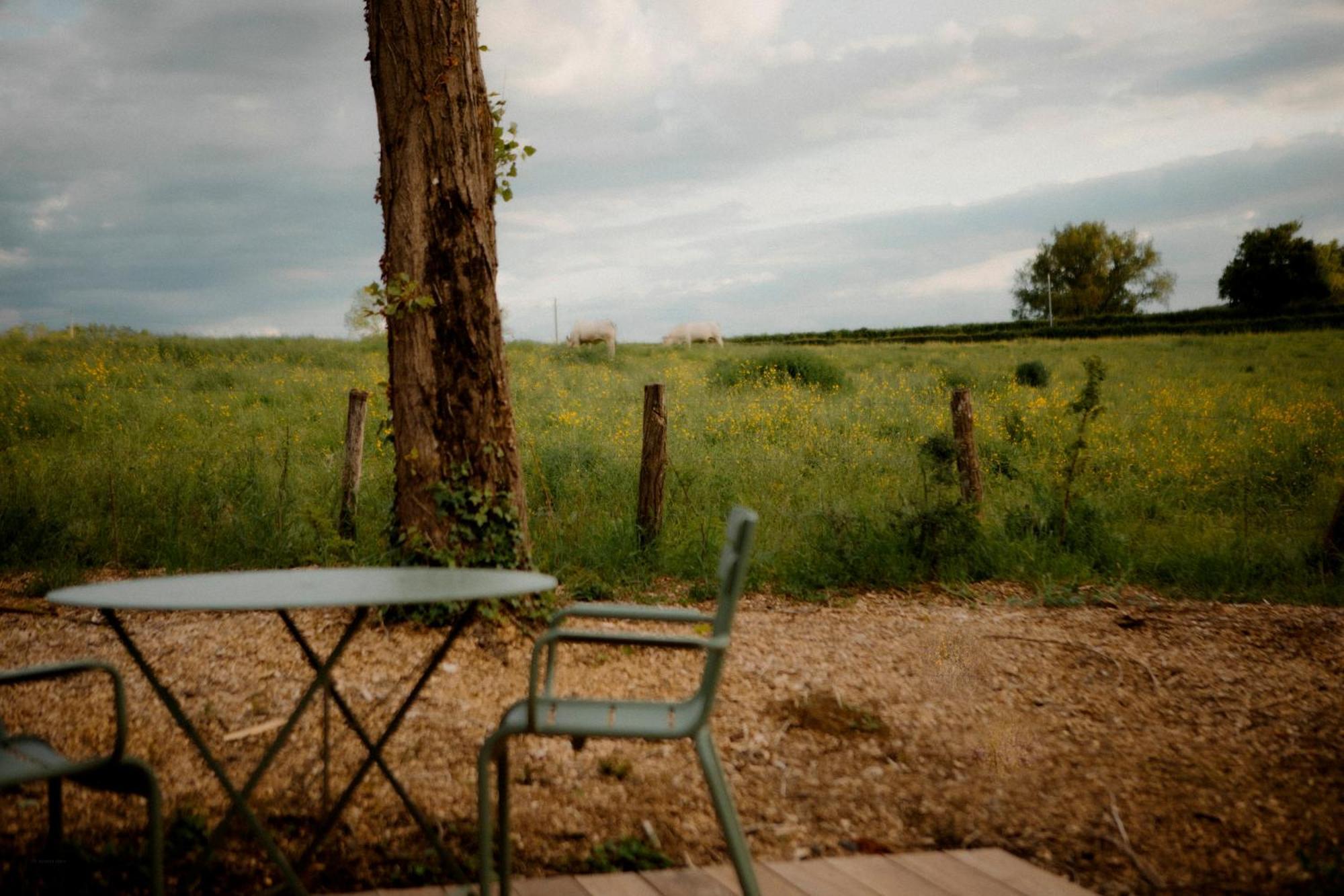 La Suite Nature By Lumipod X Tomette Singuliere Chateau  Luaran gambar
